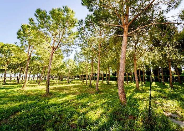 Agriturismo Bio San Mamiliano Grosseto