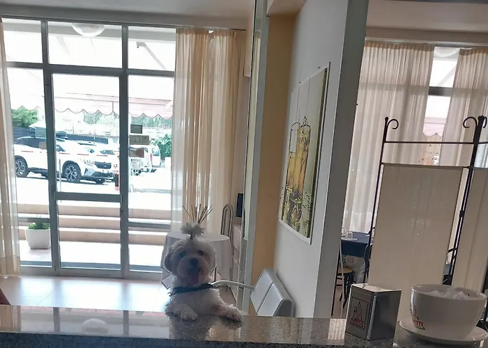 Hotel Staccoli Rimini