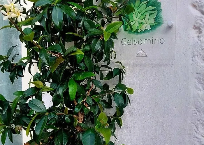 Mirum Apuliae Alberobello
