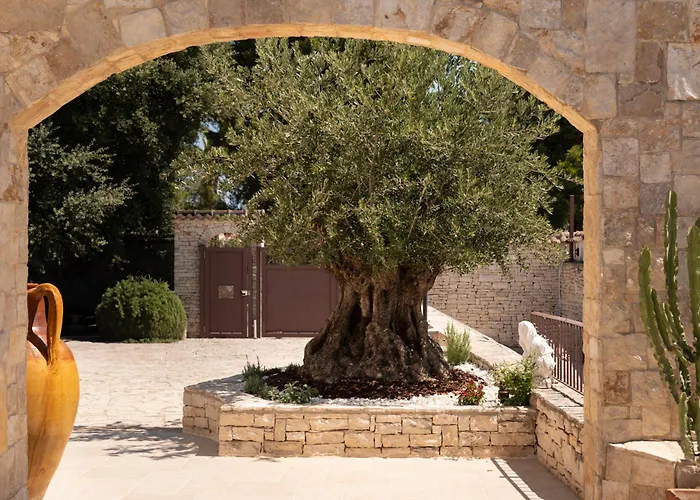 B&B Radici d'Olivo Bisceglie