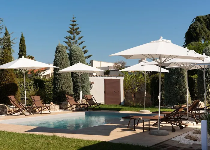 B&B Radici d'Olivo Bisceglie