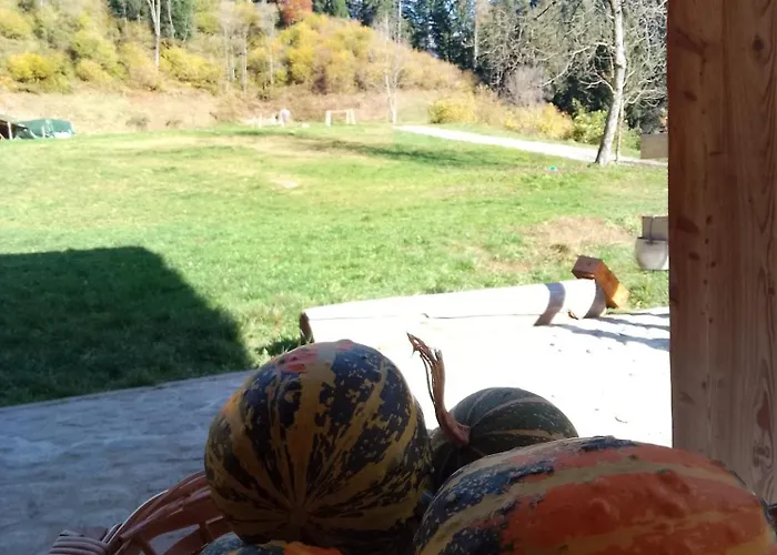 B&B Maso Ghirola Pinzolo