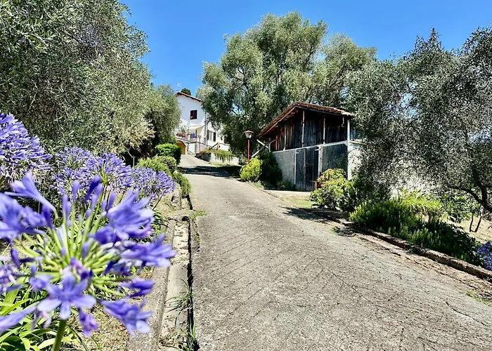 Agriturismo Uliveto Bartolomeo Sestri Levante