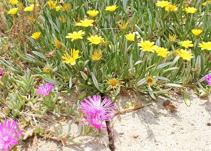 Bed and Breakfast Le Sete Bari