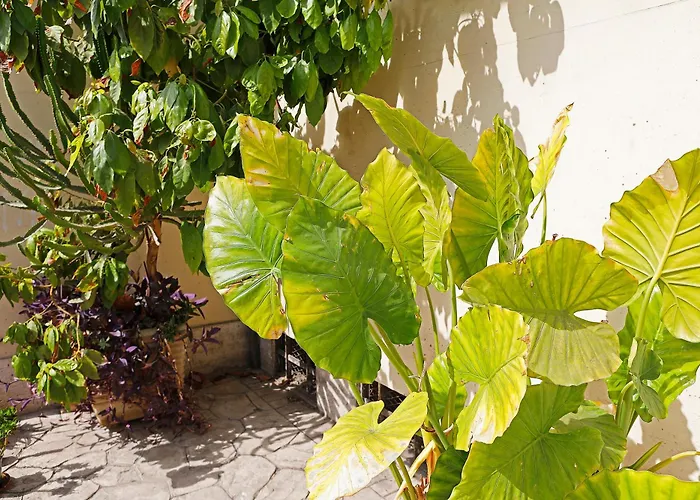 Bed and Breakfast San Martino Roma