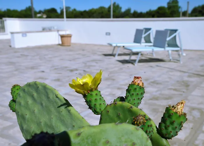 B&B Domus Terra Mare Torre San Giovanni Ugento