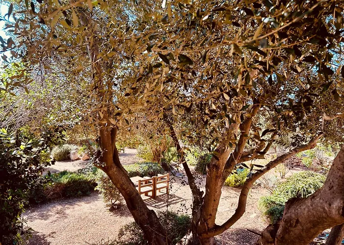 Alencio Panorama Residence Favignana
