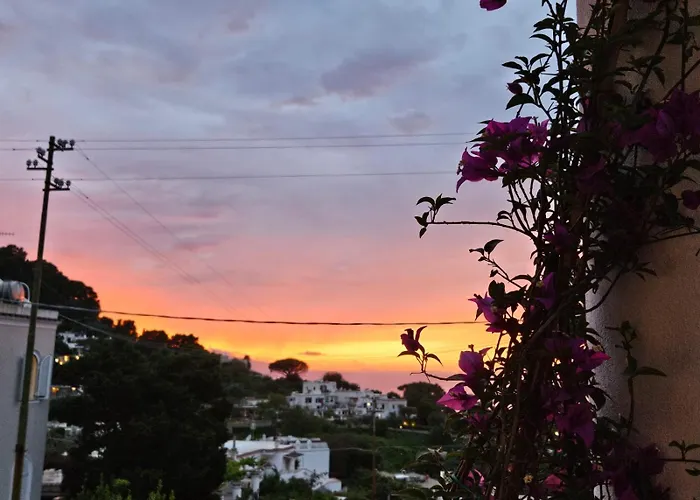 Il Portico B&B Capri