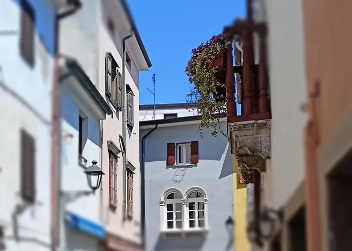 Alla Bifora Múggia