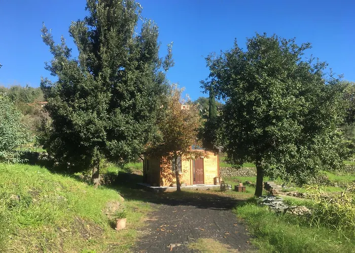 Alberto'S Mt.Etna B&B Zafferana Etnea