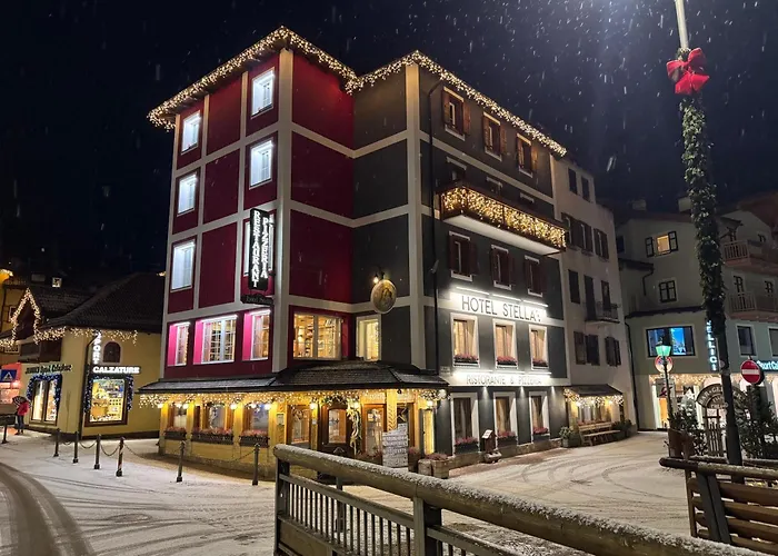 Hotel Stella Moena