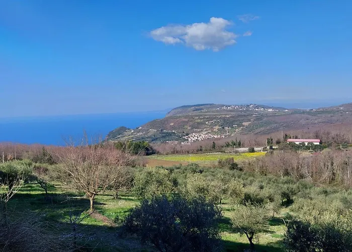 Bed and Breakfast Uliveto Garden Bagnara Calabra