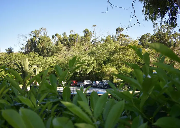 Oasi Camping Diano Marina