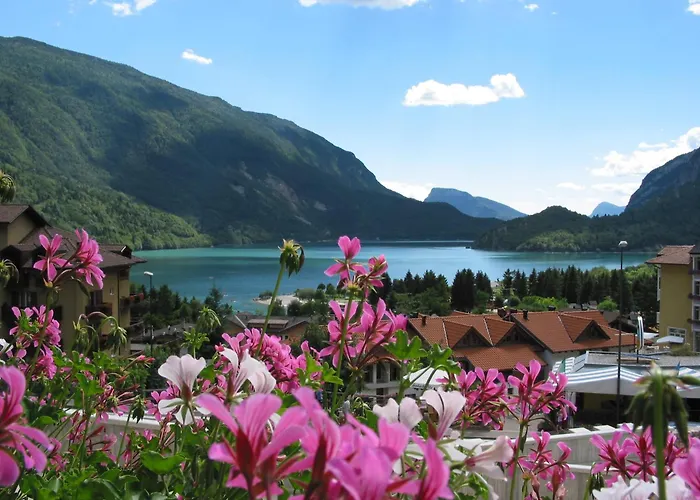 Albergo Stella Alpina Molveno