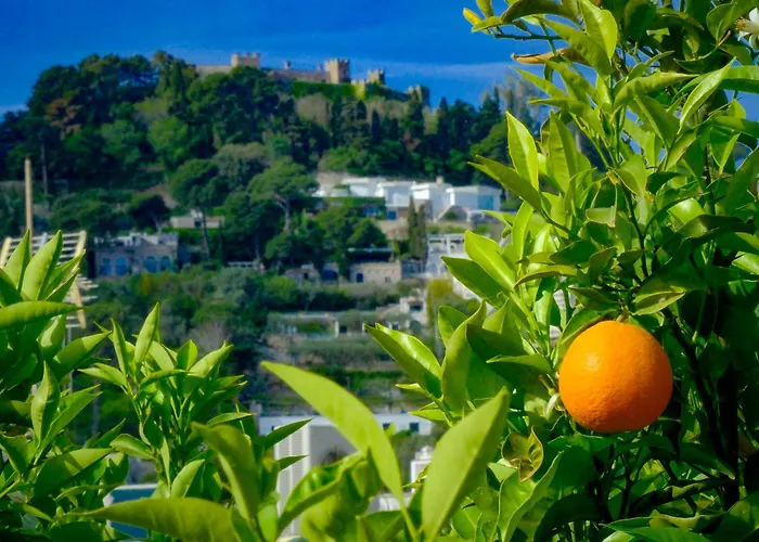 Villa Dorothee Capri