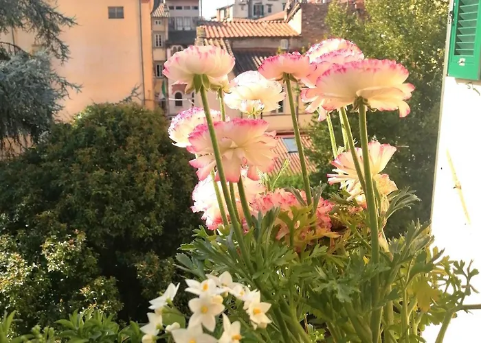 Bed And Breakfast Evelina Lucca