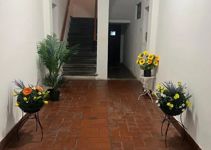 Sogni Di Luna Scandicci