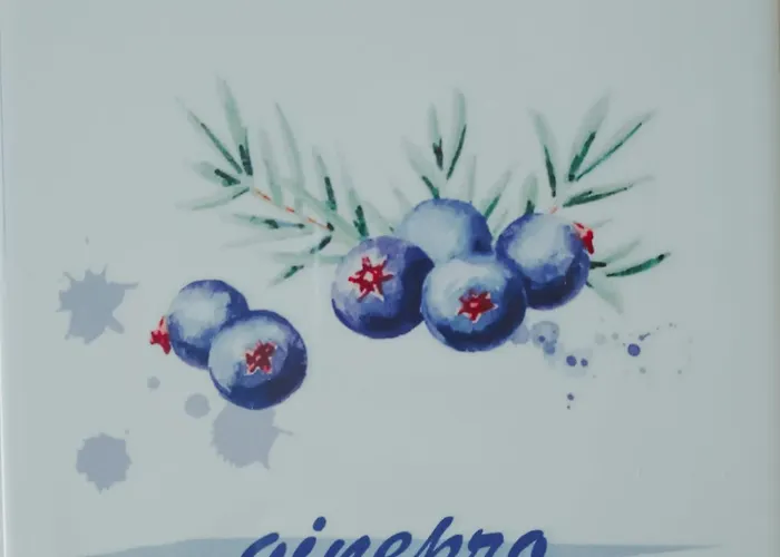 Locanda Zona Franca San Benedetto del Tronto