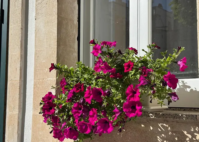 Volta Meraviglia Martina Franca