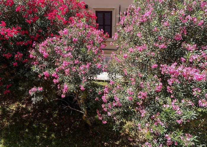 Magenta Classic San Pietro 34B Roma