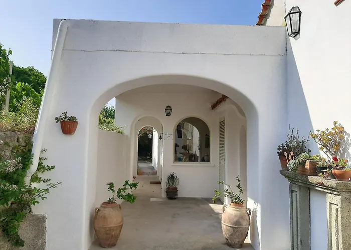 Hotel Il Vitigno di Dioniso Forio di Ischia
