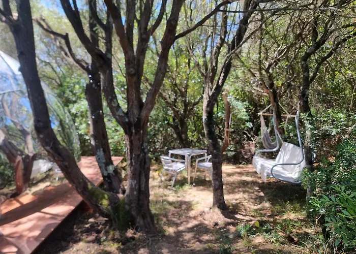 Bed and Breakfast Aldo Countryside Arzachena