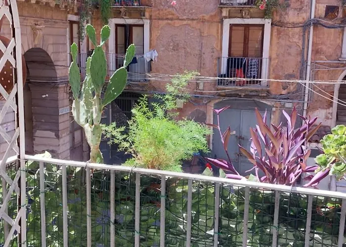 Ciuri tuttu l'annu rooms Catania