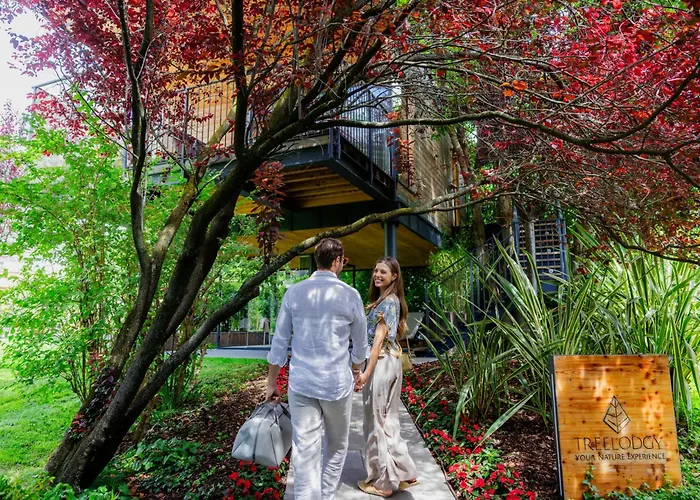 Hotel Treelodgy, The Tree House Riva del Garda