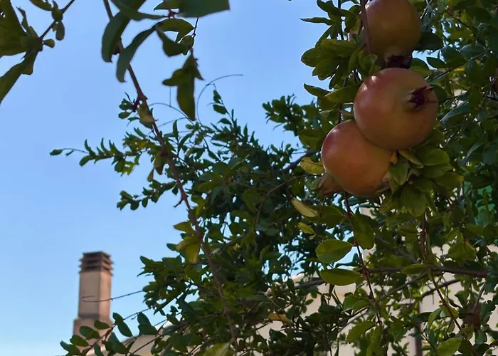 Hotel Masseria Marziale Brindisi
