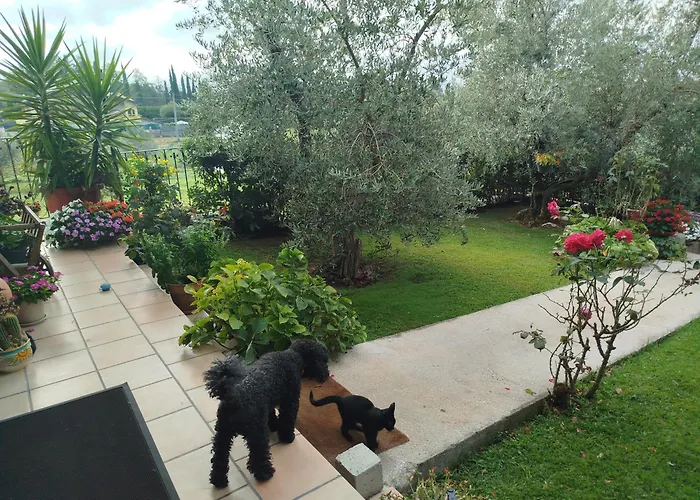 Villa Maria Paola Resort - Bed&Breakfast Isernia