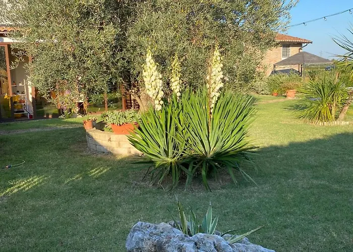 Bed and Breakfast il leccio San Lazzaro di Savena