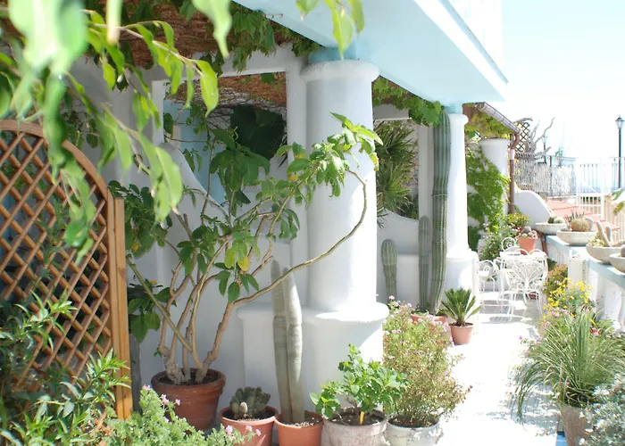 Hotel La Palma Sant'Angelo 