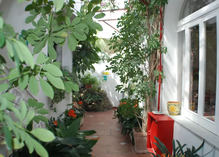 Hotel La Palma Sant'Angelo 