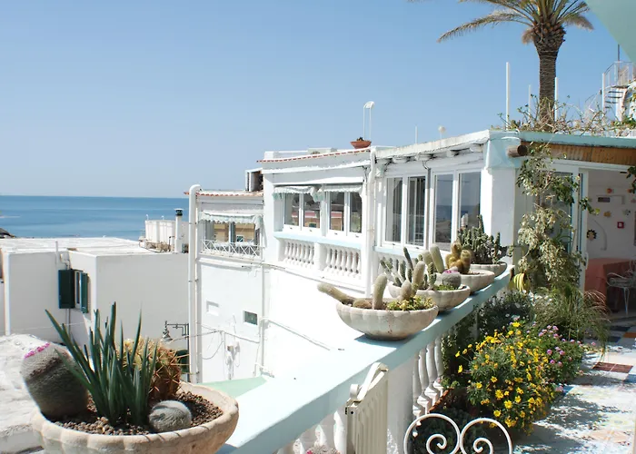 Hotel La Palma Sant'Angelo 