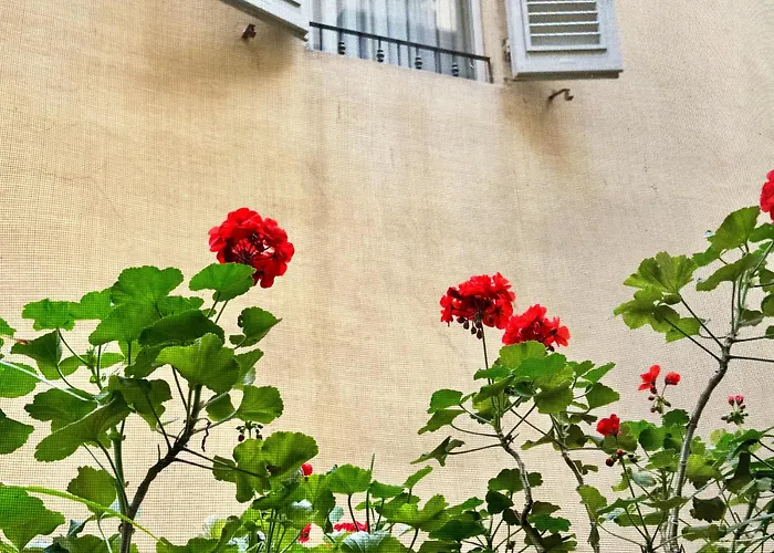 Hotel Cestelli Firenze