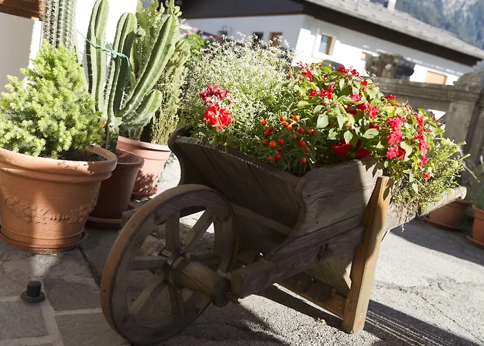 Hotel Giardino Pieve di Cadore