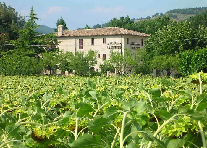Hotel La Quiete Assisi