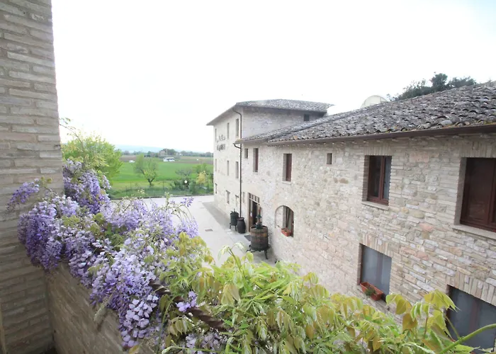 Hotel La Quiete Assisi