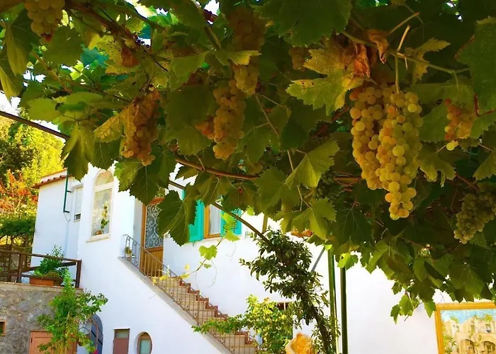 B&B Il Grappolo Anacapri 