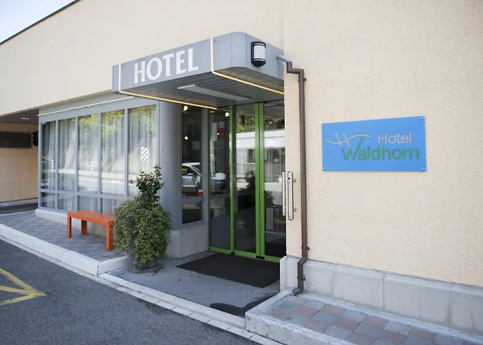 Hotel Waldhorn Berna