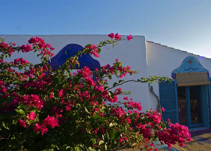 Bed and Breakfast Poecylia Carloforte 