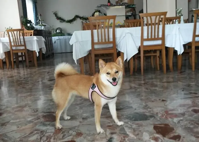 Hotel Nuova Flavia Lignano Sabbiadoro