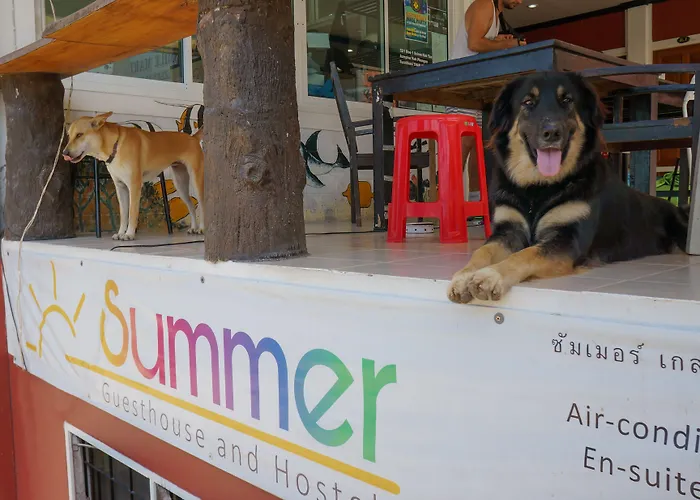 Summer Guesthouse And Hostel Ko Tao