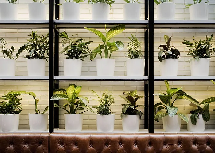 Hotel Praktik Bakery Barcellona