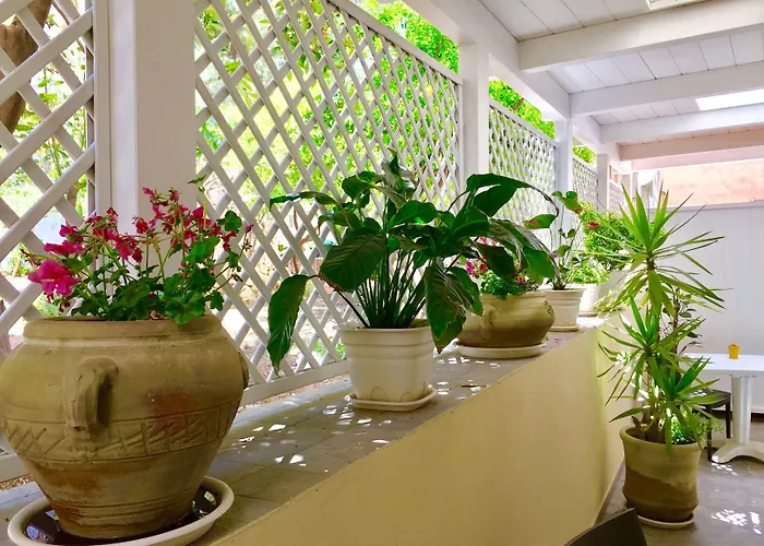 Bed and Breakfast Angioy 18 Sassari