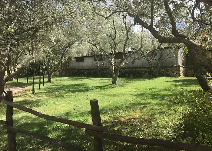 Agriturismo Lu Branu Arzachena