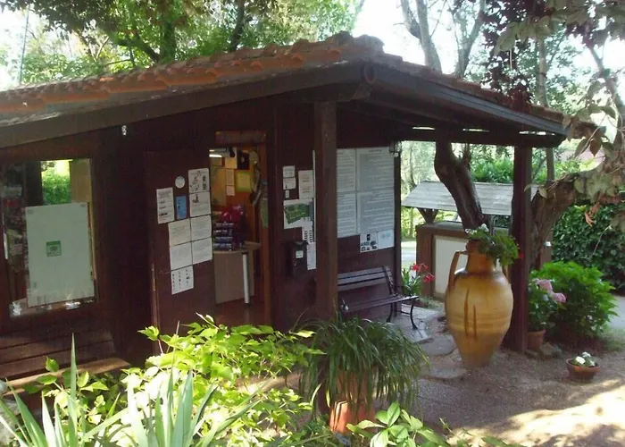 Camping Azzurro Bracciano 