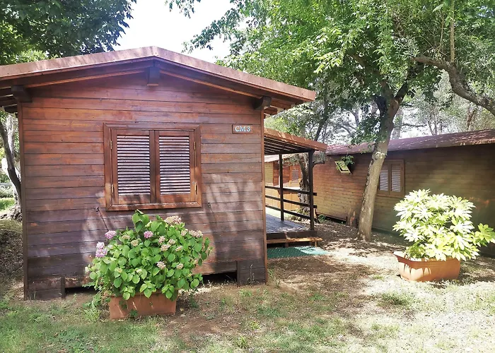 Camping Azzurro Bracciano 