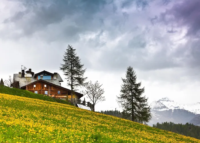 Hotel Caprice Des Neiges - Torgnon