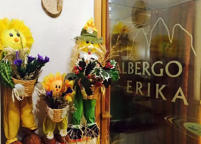 Albergo Erika Auronzo di Cadore